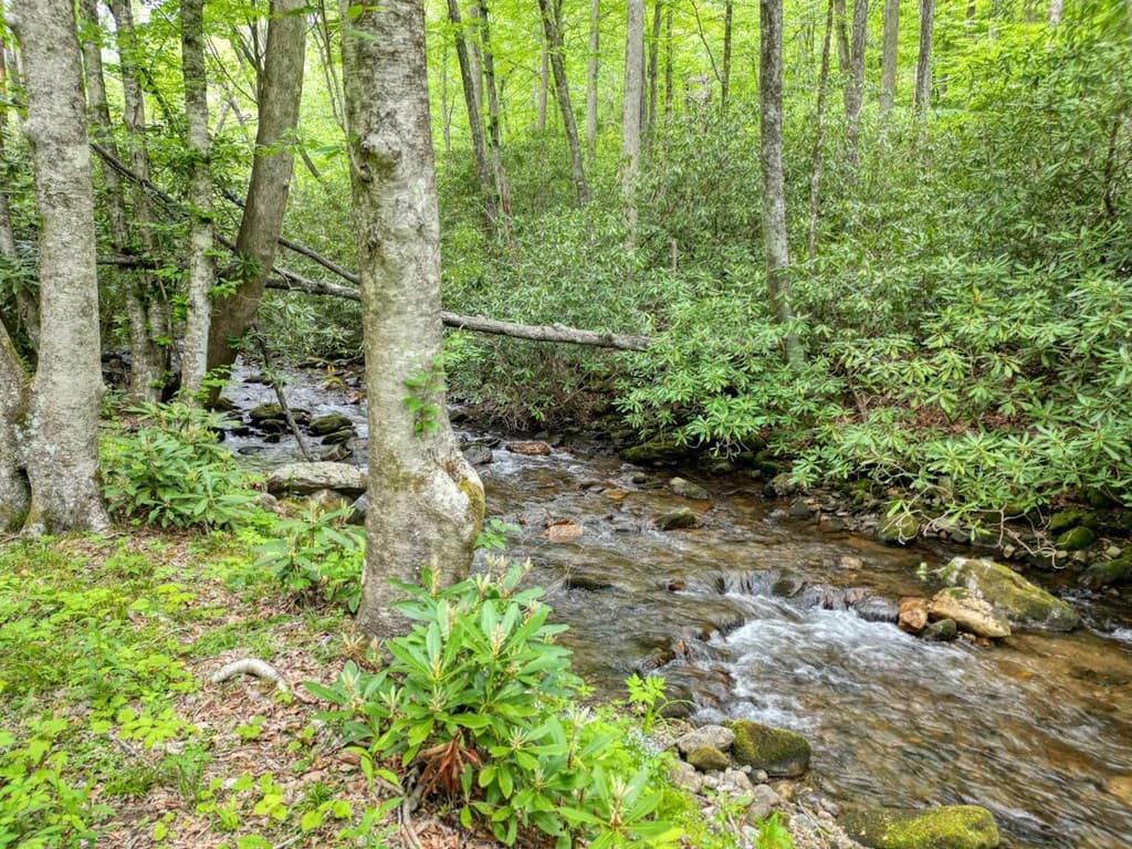 180 Dream Catcher Cove, Hayesville NC 28904 - Photo