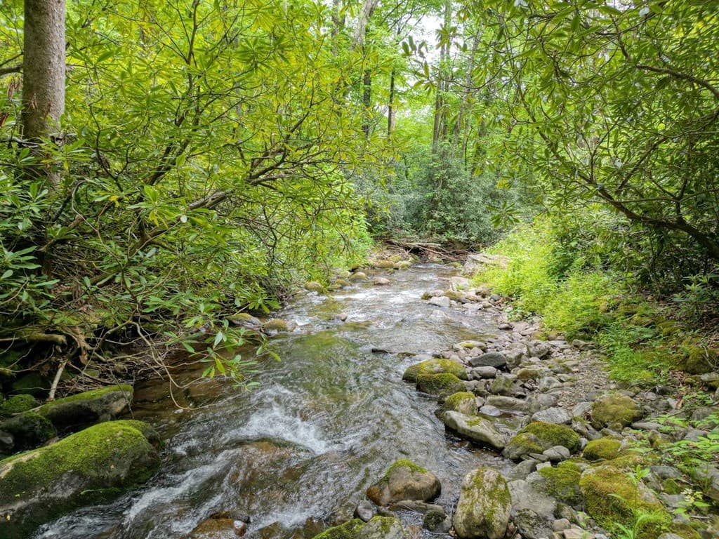 180 Dream Catcher Cove, Hayesville NC 28904 - Photo