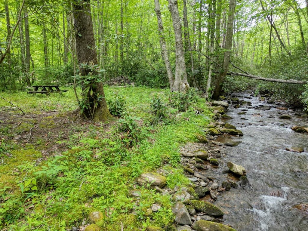 180 Dream Catcher Cove, Hayesville NC 28904 - Photo