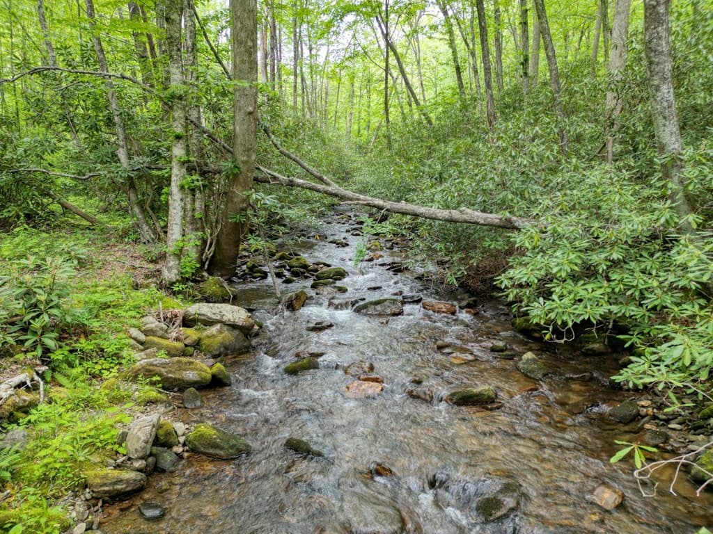 180 Dream Catcher Cove, Hayesville NC 28904 - Photo