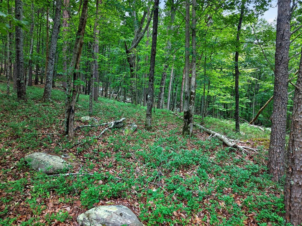 0 Ridgeside Court, Jasper GA 30143 - Photo
