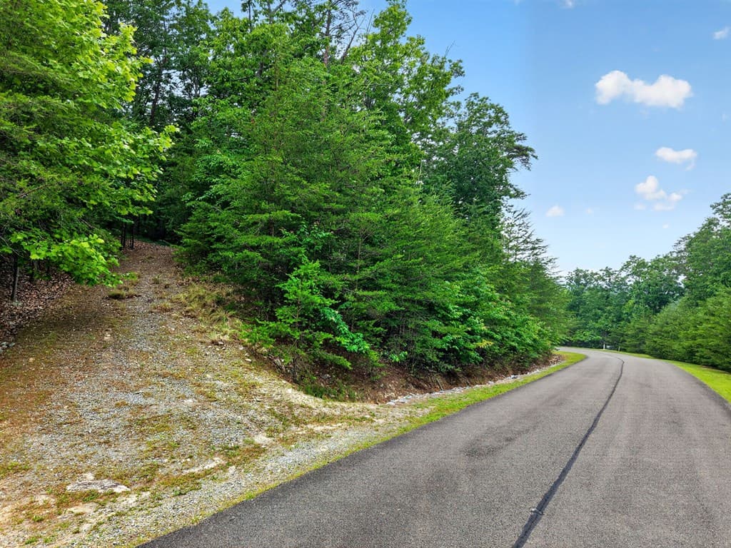 0 Ridgeside Court, Jasper GA 30143 - Photo