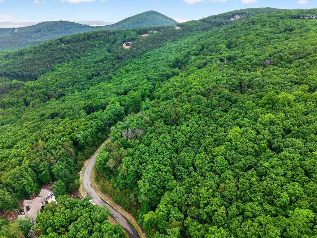 0 Ridgeside Court, Jasper GA 30143 - Photo