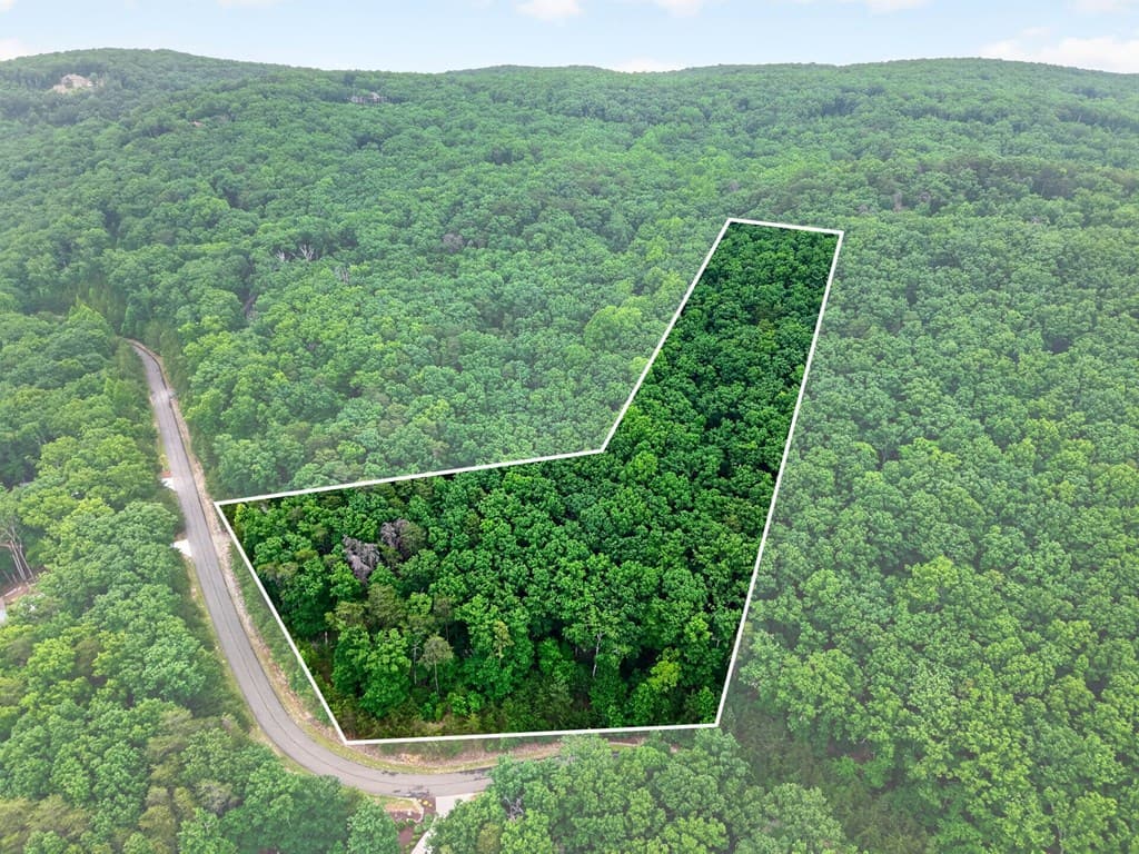 0 Ridgeside Court, Jasper GA 30143 - Photo
