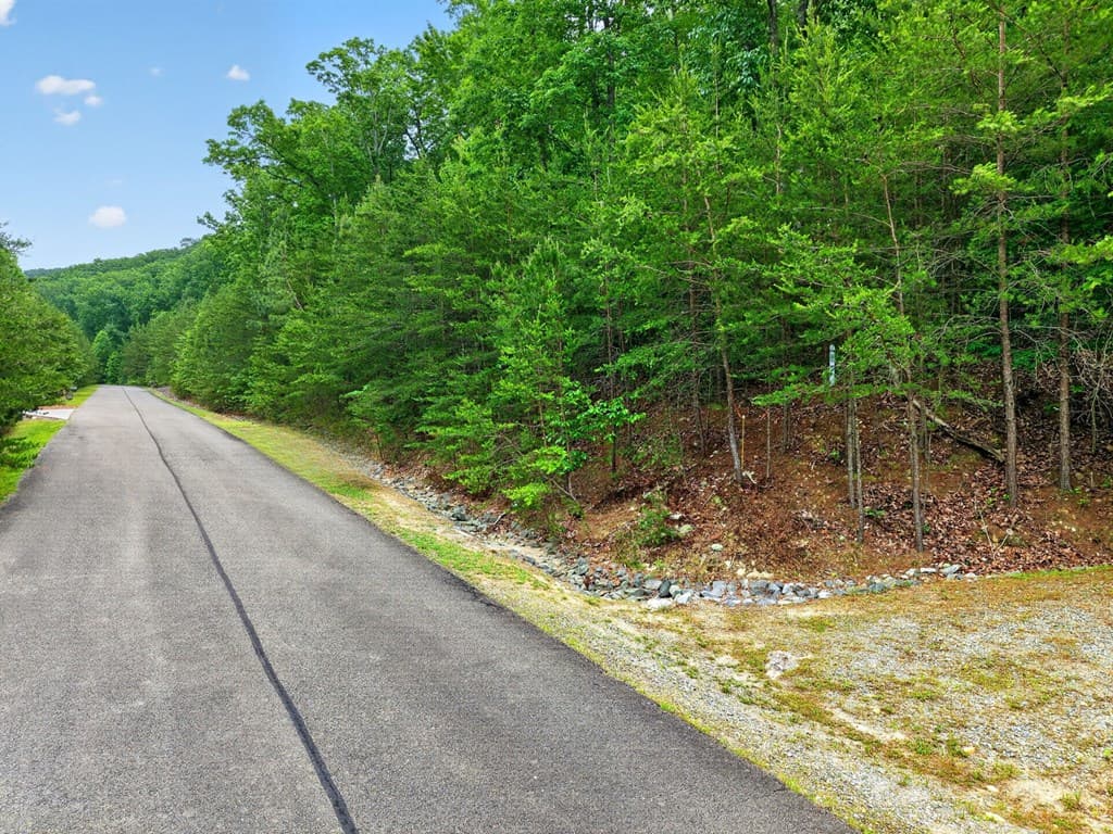 0 Ridgeside Court, Jasper GA 30143 - Photo