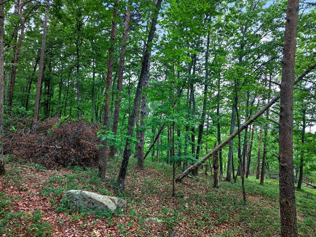 0 Ridgeside Court, Jasper GA 30143 - Photo