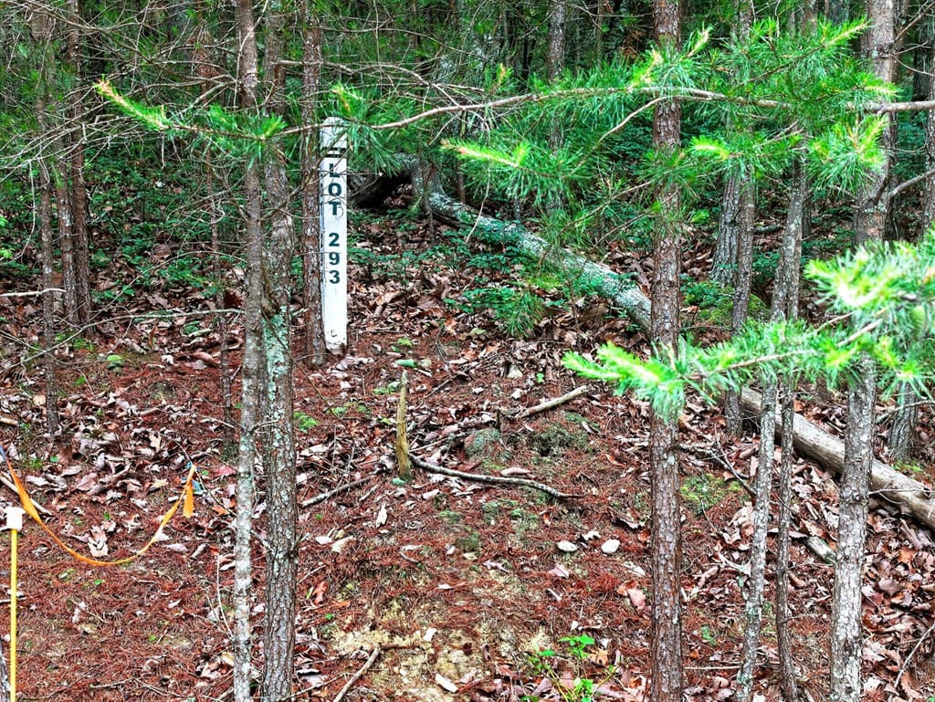 0 Ridgeside Court, Jasper GA 30143 - Photo