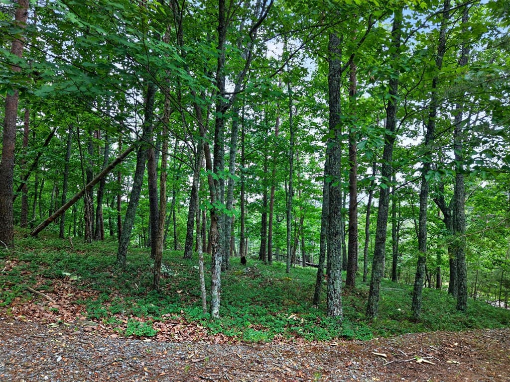 0 Ridgeside Court, Jasper GA 30143 - Photo