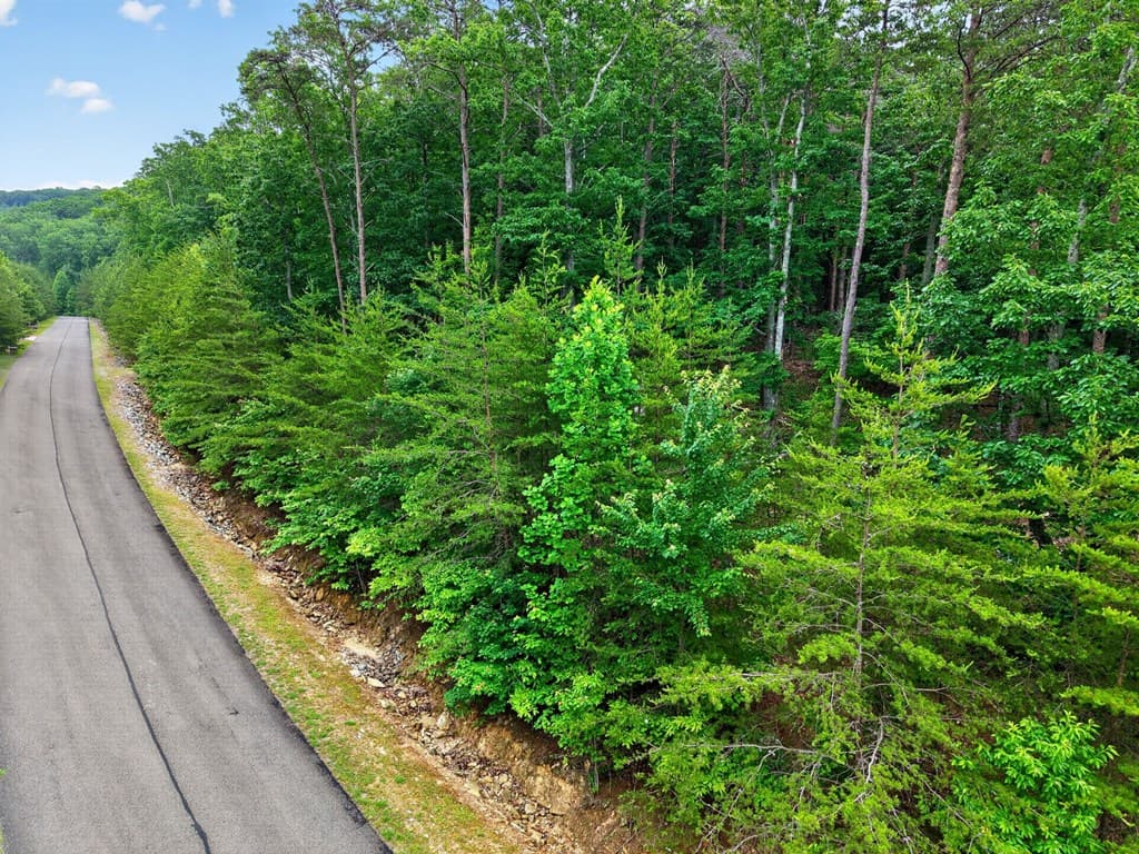 0 Ridgeside Court, Jasper GA 30143 - Photo