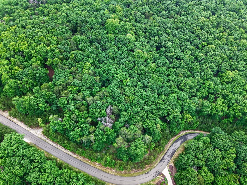 0 Ridgeside Court, Jasper GA 30143 - Photo