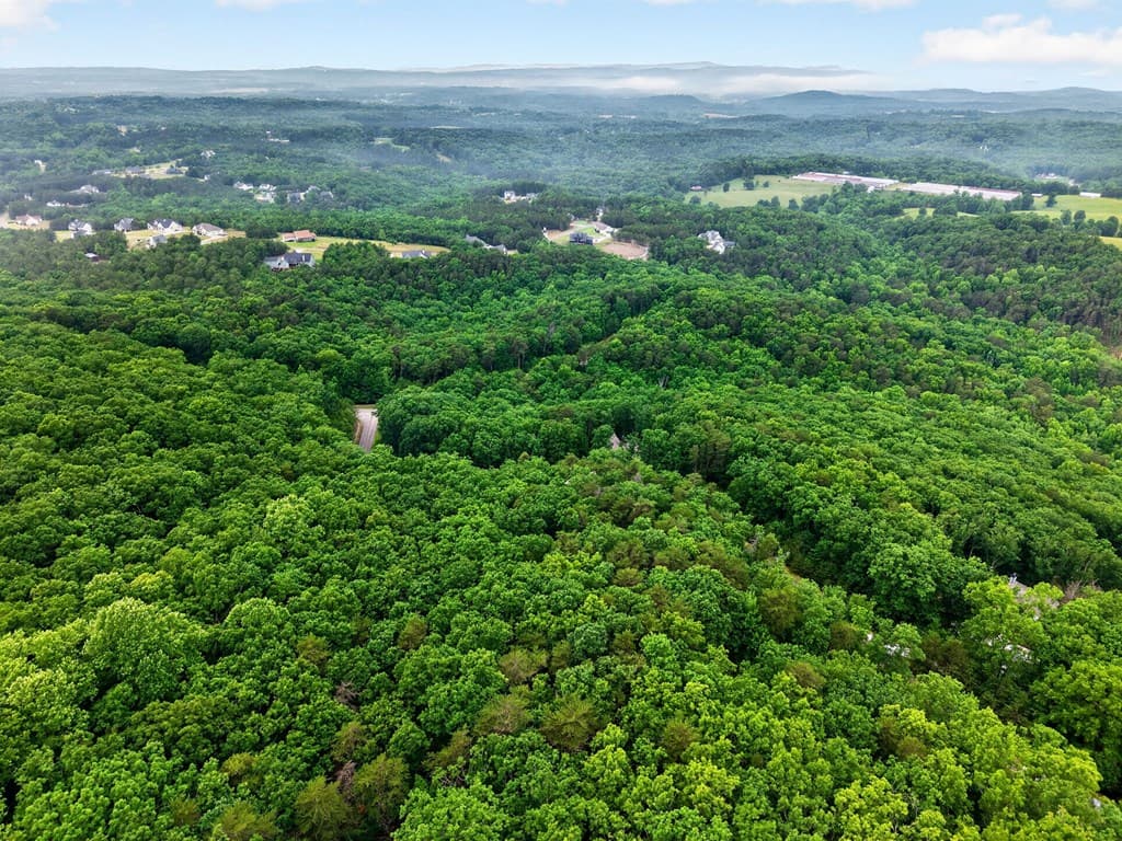 0 Ridgeside Court, Jasper GA 30143 - Photo