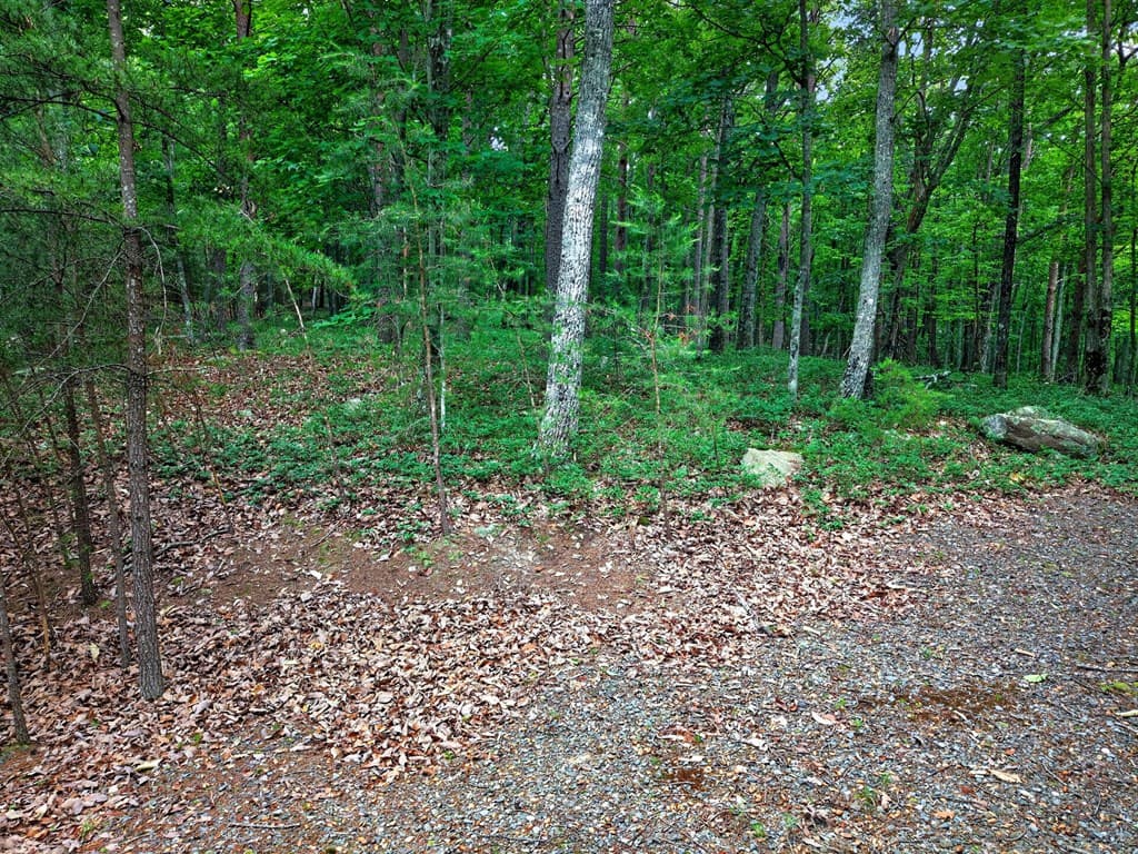 0 Ridgeside Court, Jasper GA 30143 - Photo