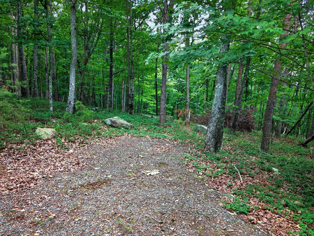 0 Ridgeside Court, Jasper GA 30143 - Photo
