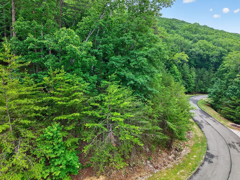 0 Ridgeside Court, Jasper GA 30143 - Photo