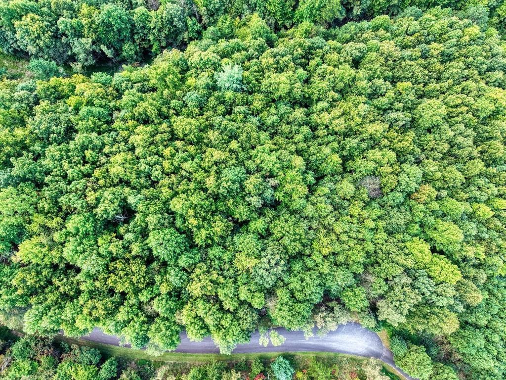 Lot 32 Westside Drive, Blairsville GA 30512 - Photo