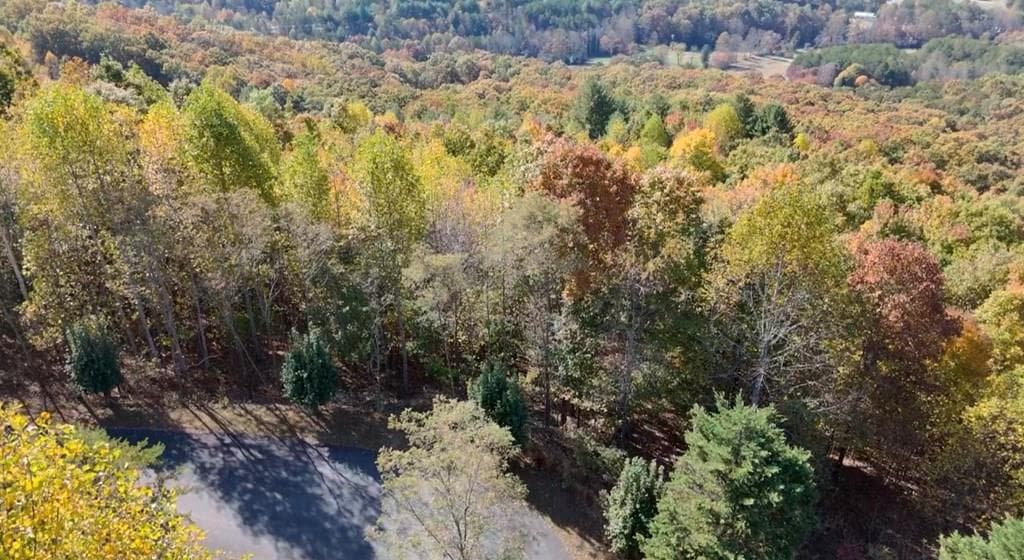 Lot 32 Westside Drive, Blairsville GA 30512 - Photo