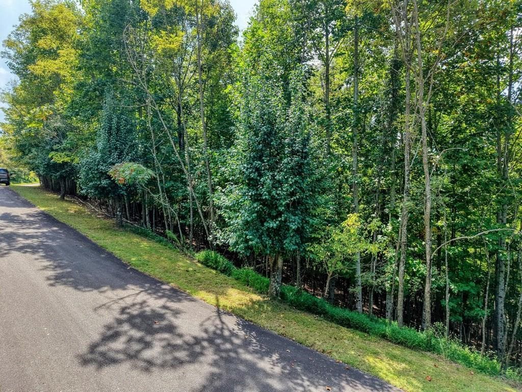 Lot 32 Westside Drive, Blairsville GA 30512 - Photo