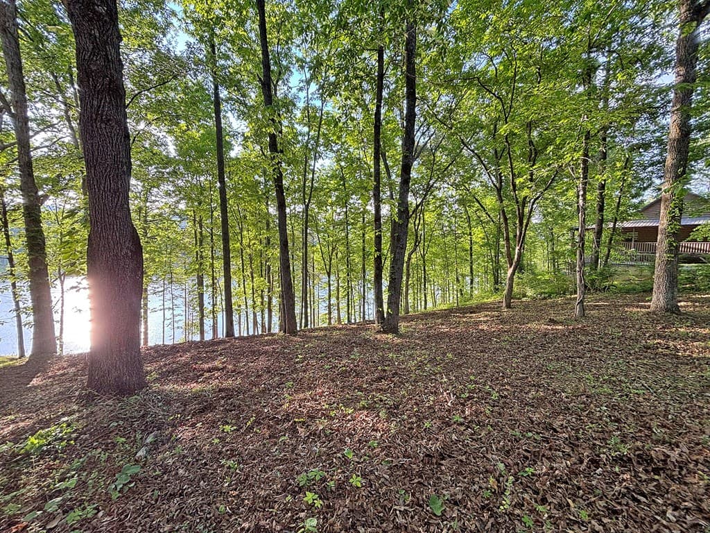 Lot 5 Walnut Drive, Blairsville GA 30512 - Photo