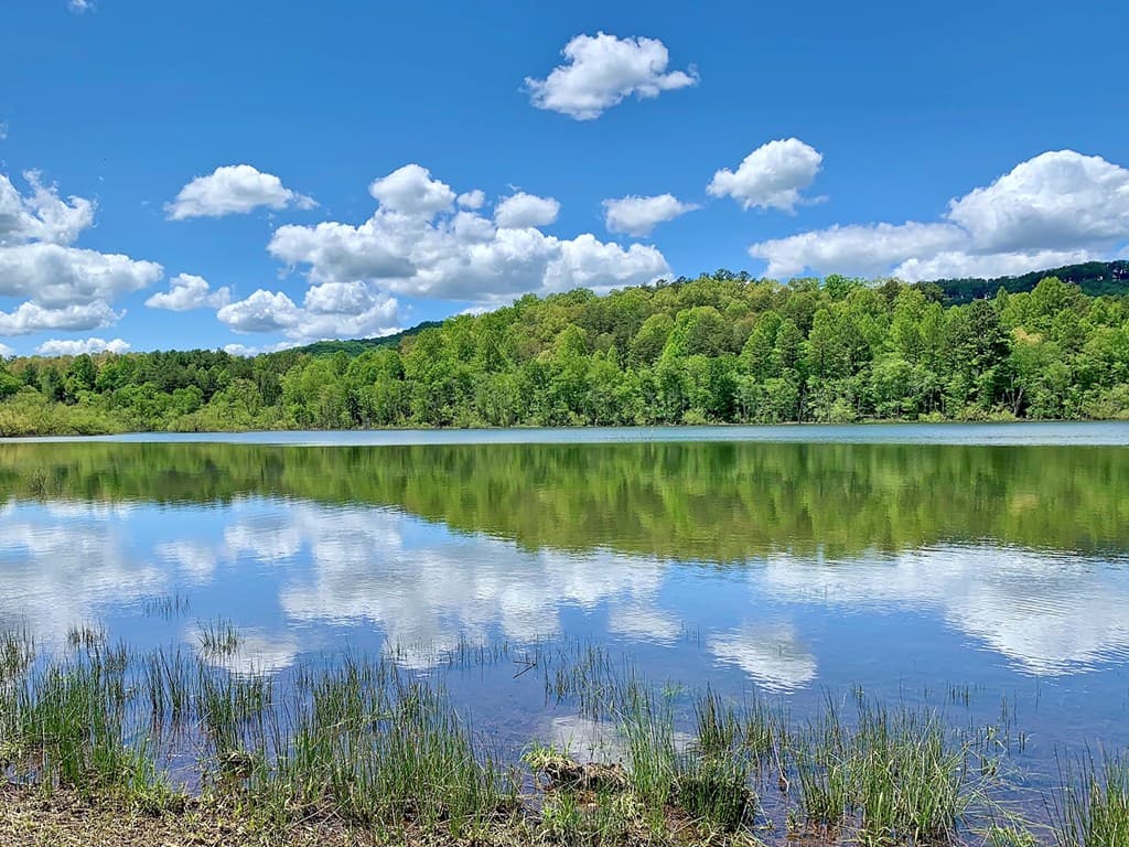 Lot 5 Walnut Drive, Blairsville GA 30512 - Photo