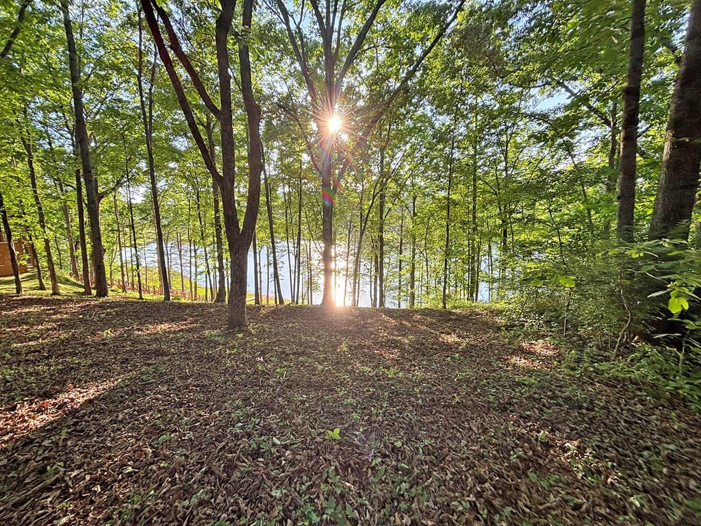 Lot 5 Walnut Drive, Blairsville GA 30512 - Photo