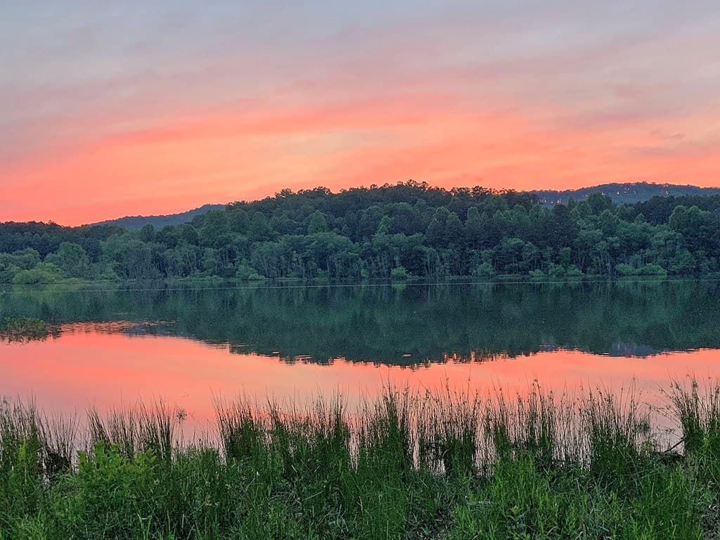 Lot 5 Walnut Drive, Blairsville GA 30512 - Photo