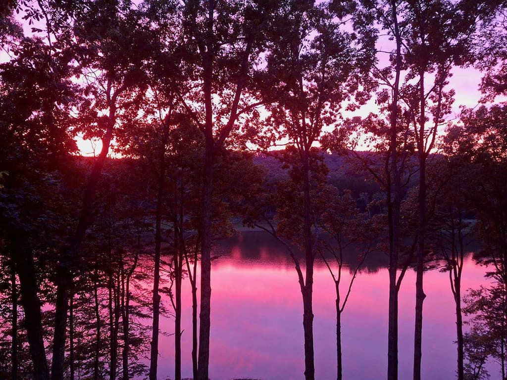 Lot 5 Walnut Drive, Blairsville GA 30512 - Photo