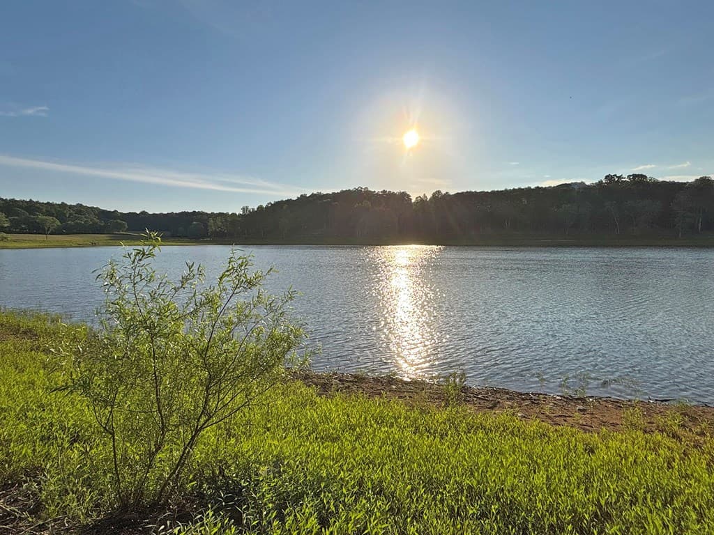 Lot 5 Walnut Drive, Blairsville GA 30512 - Photo