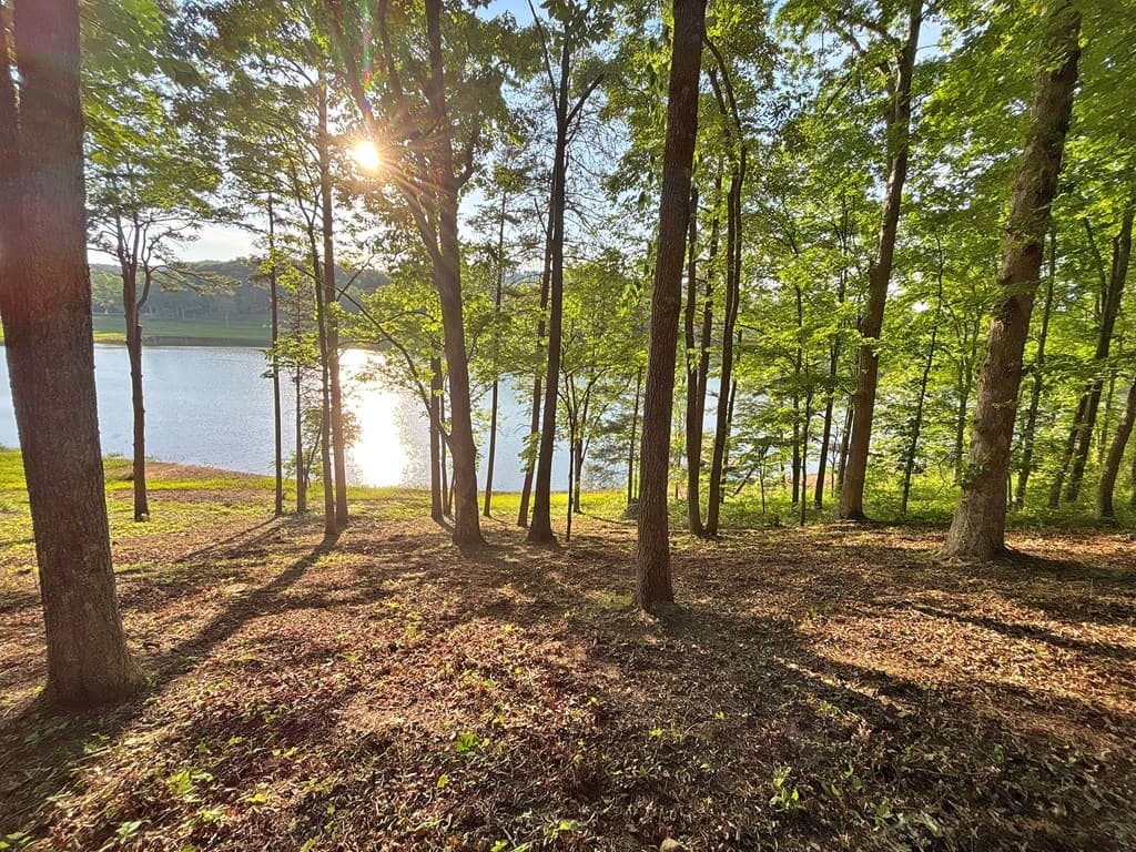 Lot 5 Walnut Drive, Blairsville GA 30512 - Photo