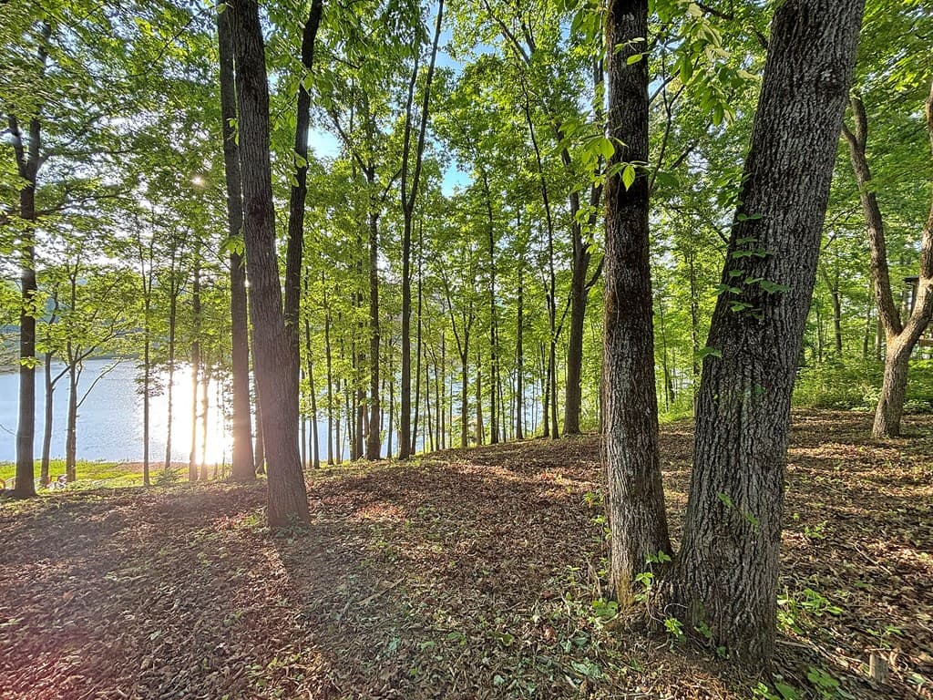 Lot 5 Walnut Drive, Blairsville GA 30512 - Photo