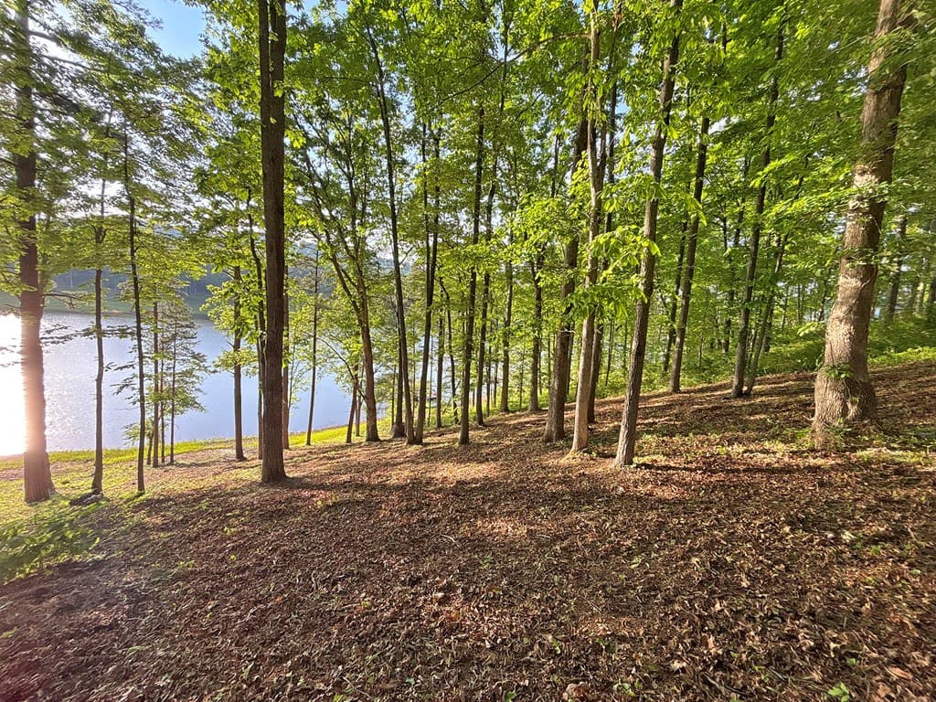 Lot 5 Walnut Drive, Blairsville GA 30512 - Photo