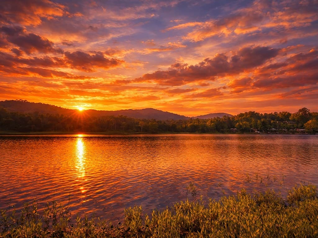 Lot 5 Walnut Drive, Blairsville GA 30512 - Photo