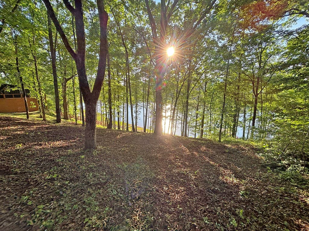 Lot 5 Walnut Drive, Blairsville GA 30512 - Photo