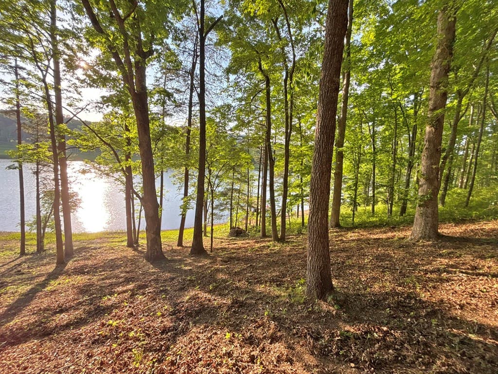 Lot 5 Walnut Drive, Blairsville GA 30512 - Photo