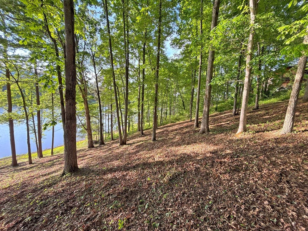 Lot 5 Walnut Drive, Blairsville GA 30512 - Photo