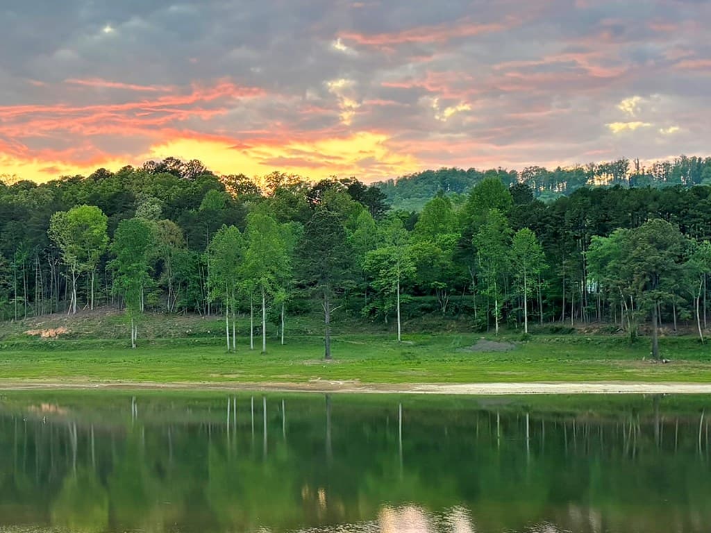 Lot 5 Walnut Drive, Blairsville GA 30512 - Photo