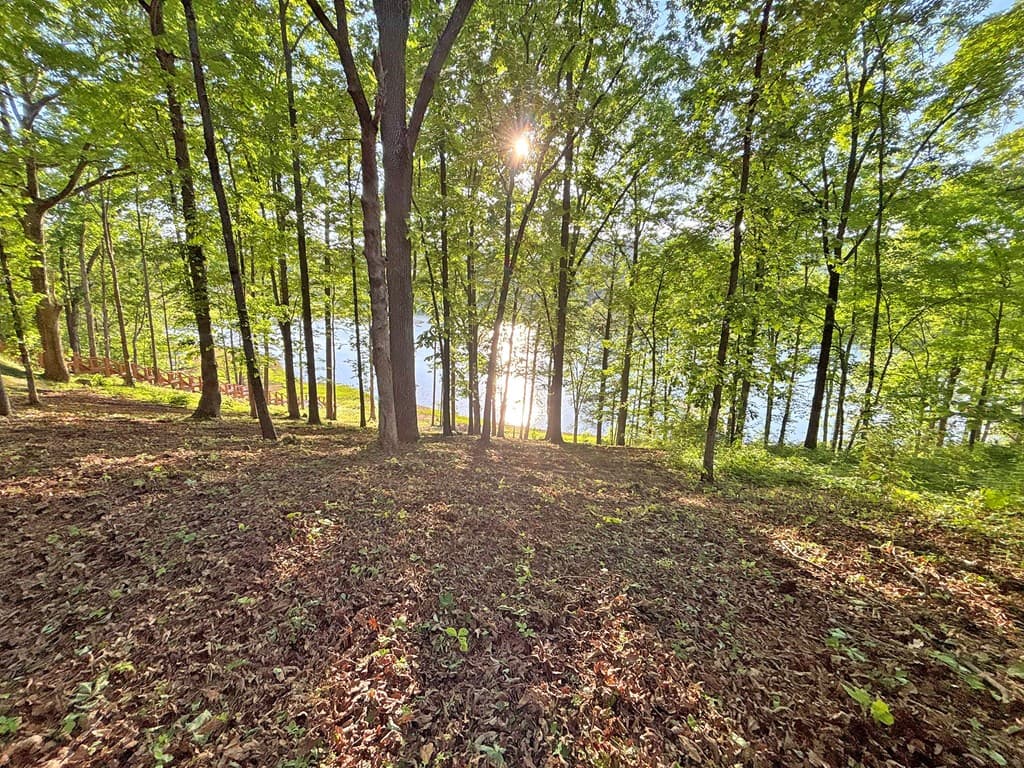 Lot 5 Walnut Drive, Blairsville GA 30512 - Photo