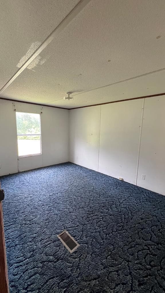 2018 Mineral Bluff Highway, Mineral Bluff GA 30559 - Photo