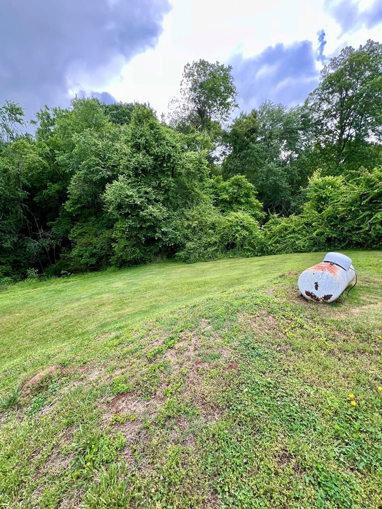 2018 Mineral Bluff Highway, Mineral Bluff GA 30559 - Photo