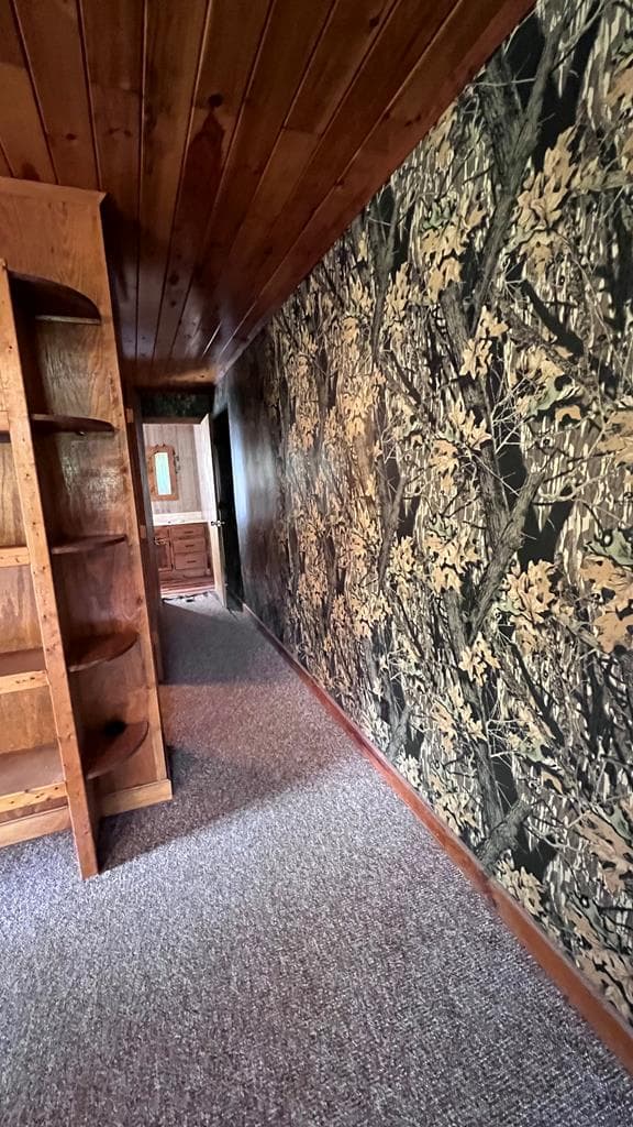 2018 Mineral Bluff Highway, Mineral Bluff GA 30559 - Photo