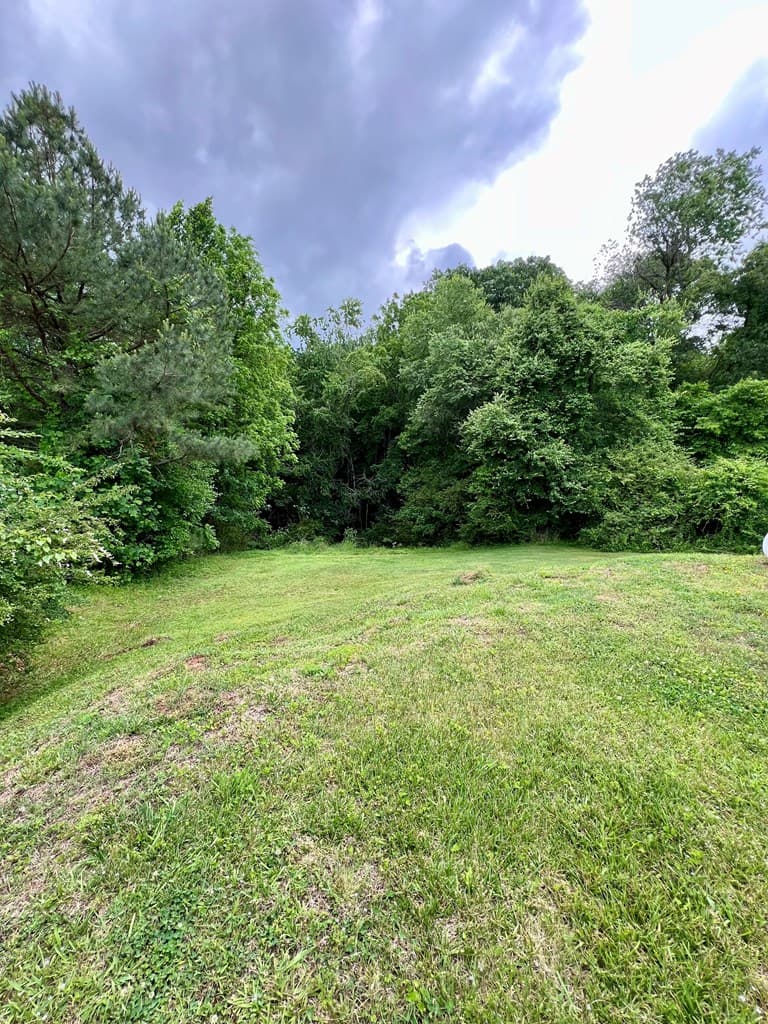 2018 Mineral Bluff Highway, Mineral Bluff GA 30559 - Photo