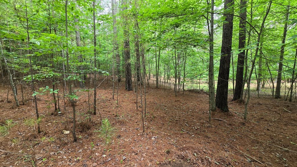 Lot 42 Loftis Mountain Way, Blairsville GA 30512 - Photo
