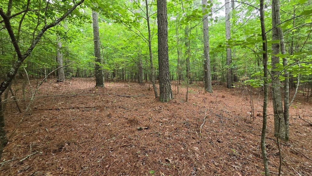 Lot 42 Loftis Mountain Way, Blairsville GA 30512 - Photo