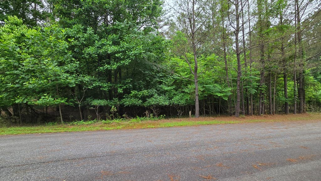 Lot 42 Loftis Mountain Way, Blairsville GA 30512 - Photo