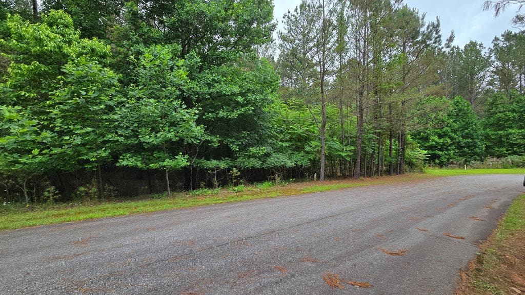 Lot 42 Loftis Mountain Way, Blairsville GA 30512 - Primary photo