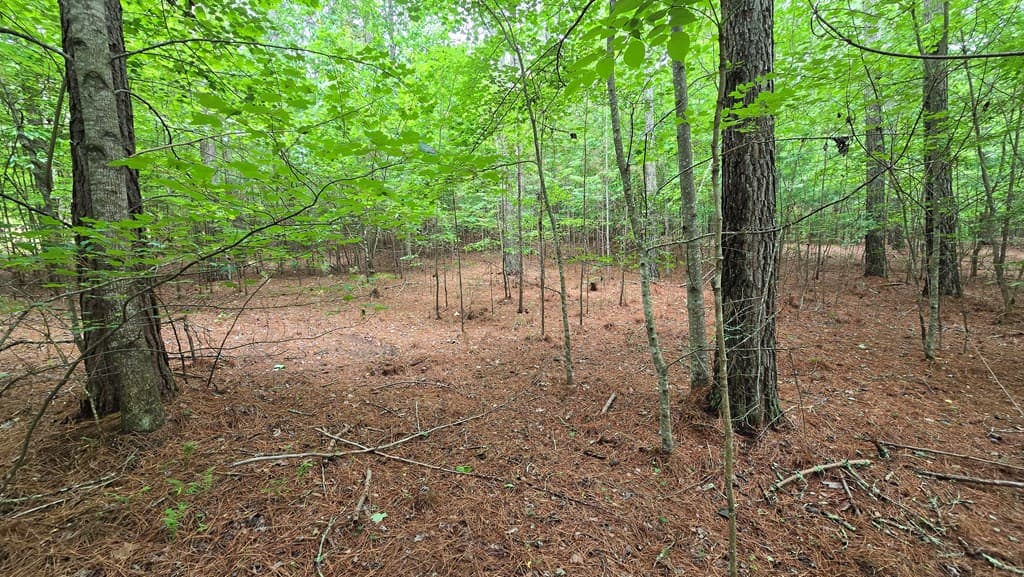 Lot 42 Loftis Mountain Way, Blairsville GA 30512 - Photo