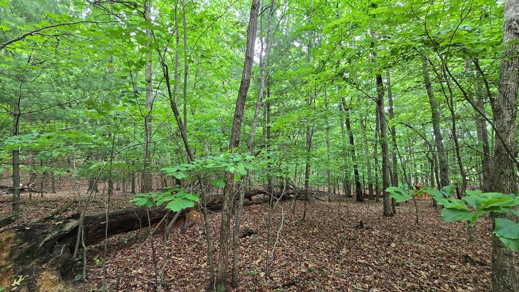 Lot 42 Loftis Mountain Way, Blairsville GA 30512 - Photo