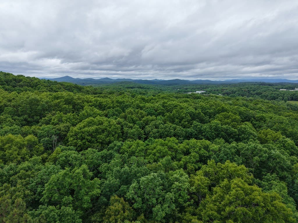 Lot 42 Loftis Mountain Way, Blairsville GA 30512 - Photo