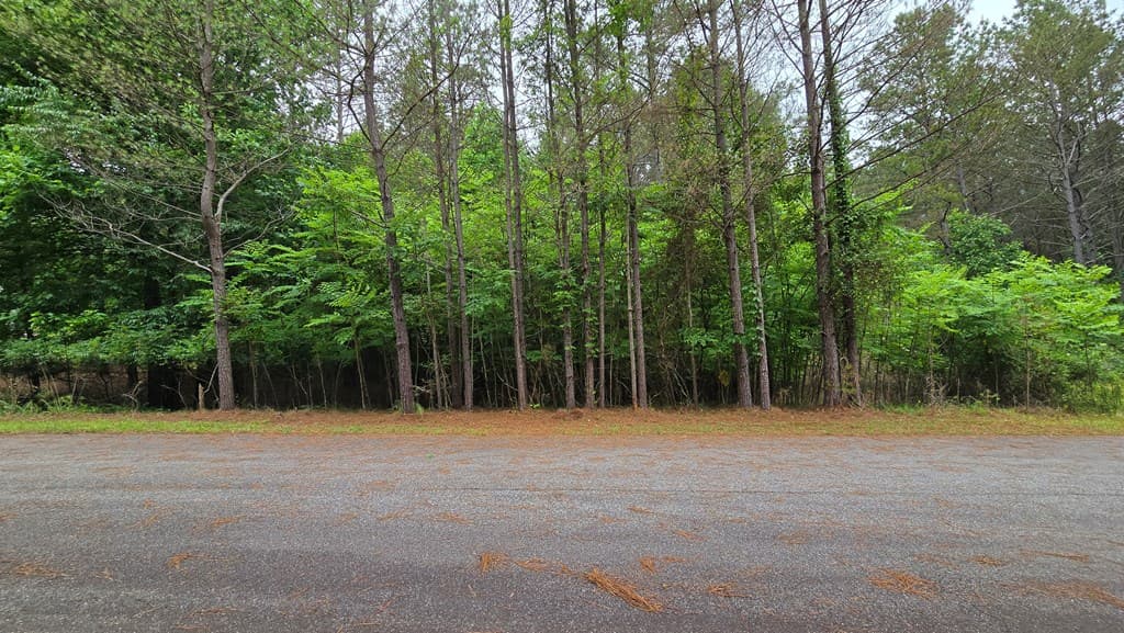 Lot 42 Loftis Mountain Way, Blairsville GA 30512 - Photo