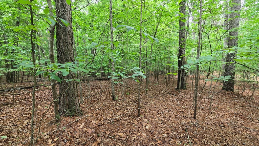 Lot 42 Loftis Mountain Way, Blairsville GA 30512 - Photo