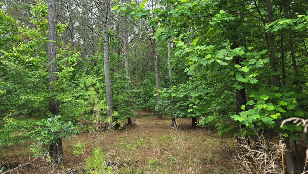 Lot 43 Loftis Mountain Way, Blairsville GA 30512 - Photo